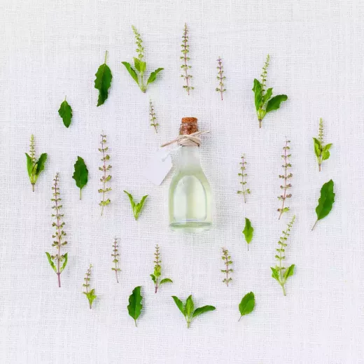 5 Traditional Medicines Used for Erectile Dysfunction Around the World